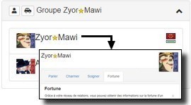 Informations sur la fortune